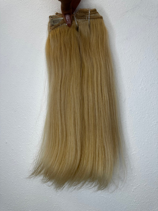 Vietnamese Blonde Straight Clip Ins